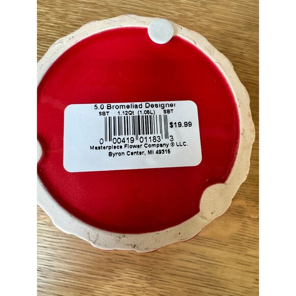 Red Ceramic Flower Pot 5.0 Bromeliad Designer By Masterpiece Flower Co.; 6" Tall - Picture 5 of 7